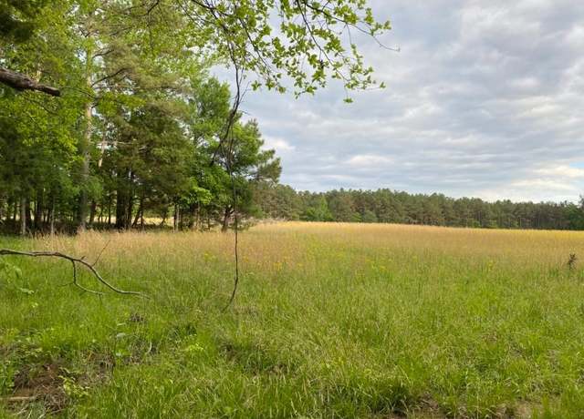 Property at 330 Lick Creek Rd, Michie, TN 38357