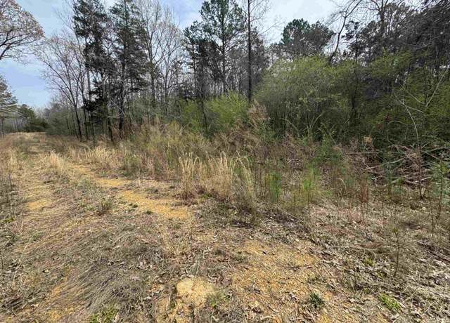 Property at TRACT 4 Kason Dr, Stantonville, TN 38379-5118