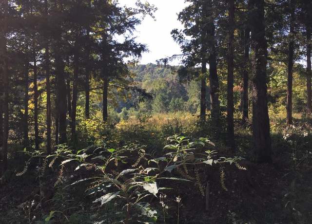 Property at 26155 Hwy 128 Hwy, Clifton, TN 38245