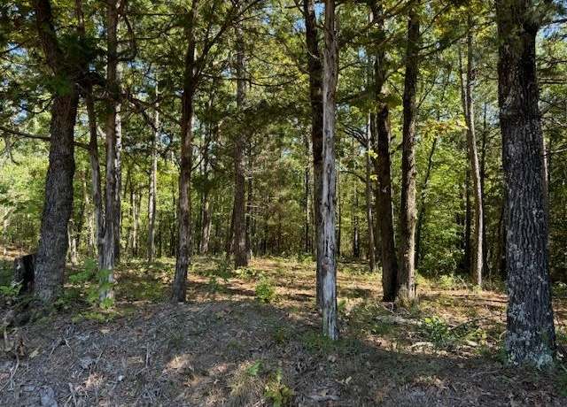 Property at Teague Rd, Toone, TN 38381
