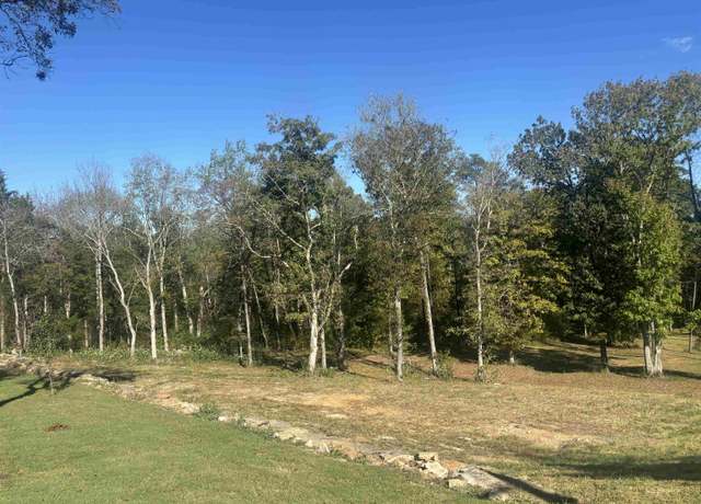 Property at 0 Mariah Ln Lot 100-101, Bath Springs, TN 38311-4522