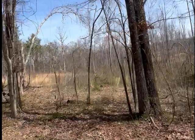 Property at 0 Ritter Rd, Morris Chapel, TN 38361