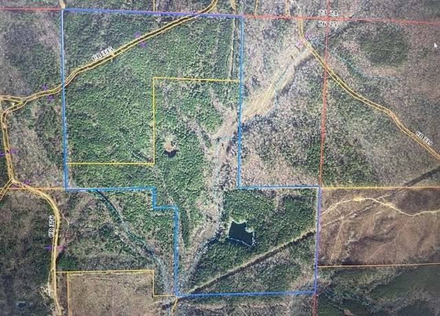 Property at 0 Cr 335 Tract 9 Dr, Rienzi, MS 38865