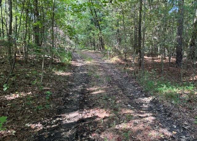 Property at 0 Highway 193 Hwy, Eads, TN 38028