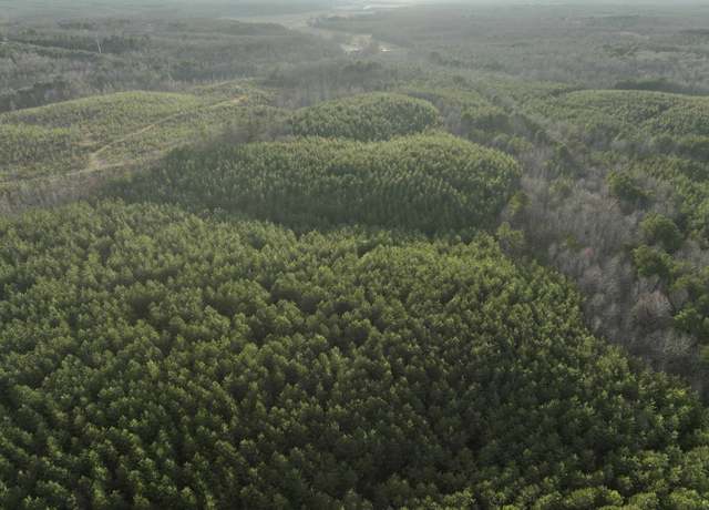 Property at Race Path Rd, Stantonville, TN 38379