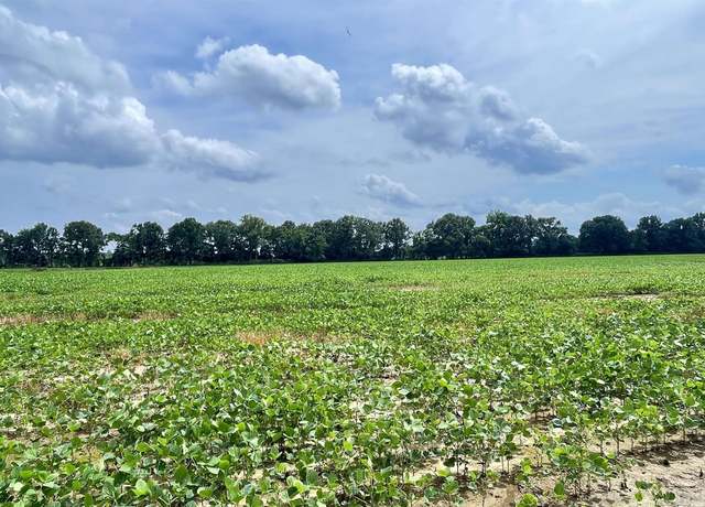 Property at I40 Dancyville Rd, Stanton, TN 38069