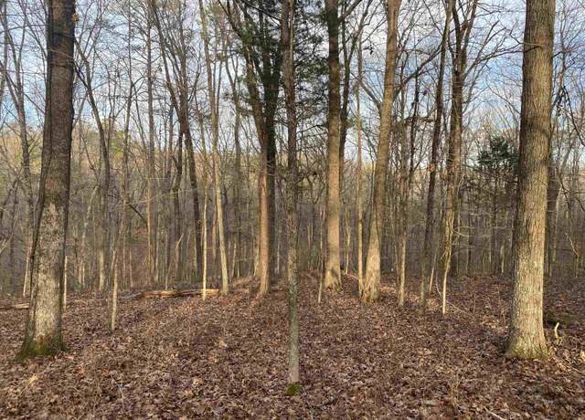 Property at 0 Bruton Branch Rd, Savannah, TN 38372