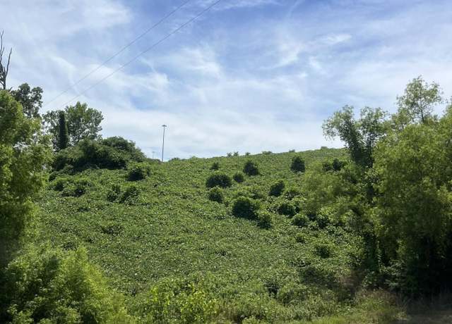 Property at 0 W Hwy 178 Hwy W, Blue Springs, MS 38828
