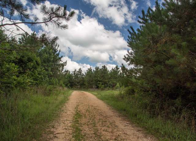 Property at 0 Old State Hwy #0, Sugar Tree, TN 38380