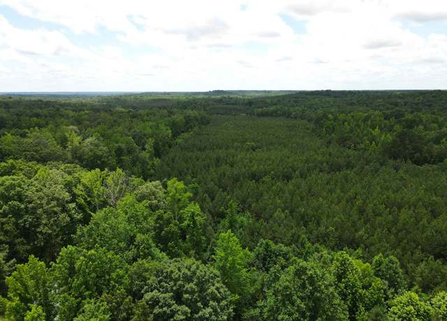 Property at Candy Ln, Stantonville, TN 38379
