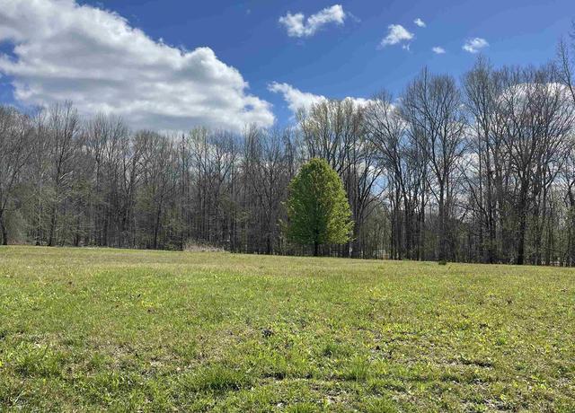 Property at 555 Woodland Trace Ln Lot 14, Cordova, TN 38018