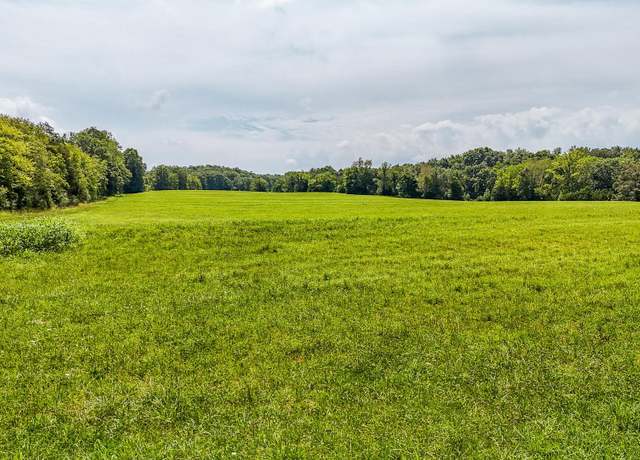 Property at 2245 Big Ivy Rd, Savannah, TN 38372