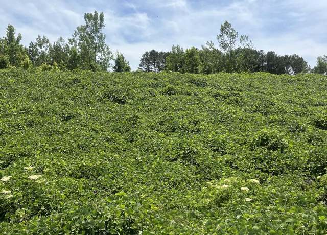 Property at 0 S Hwy 9 Hwy S, Blue Springs, MS 38828
