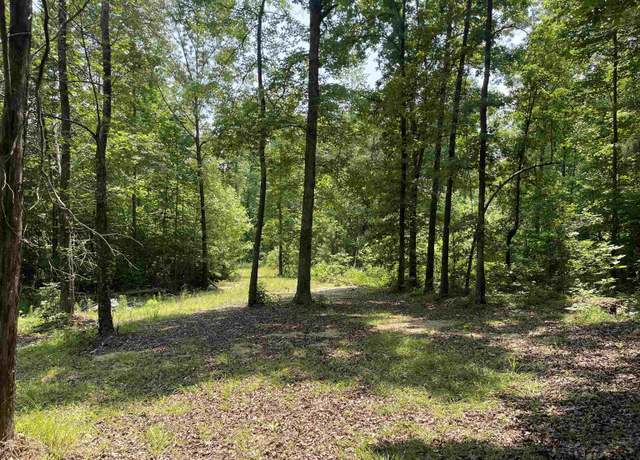 Property at 2460 421 Hwy, Sardis, TN 38371