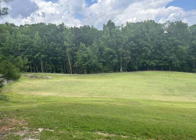 Property at 128 Oak Hollow Cv, Counce, TN 38326