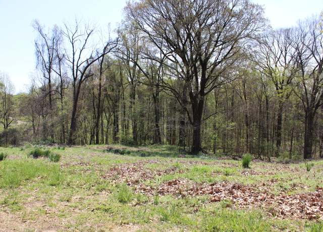 Property at 215 S Jefferson St, Ripley, TN 38063