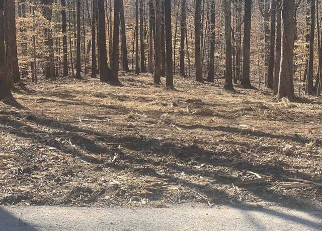 Property at 0 Sewell Rd, Selmer, TN 38375