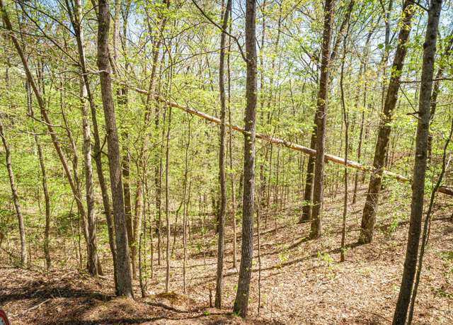Property at LOT 172 & 165 Fawn Ridge Rd Lot 172, Parsons, TN 38363