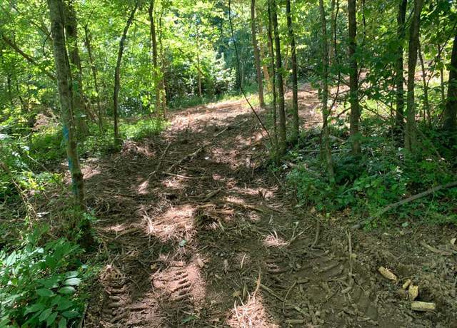 Property at Mullins Rd, Luray, TN 38352