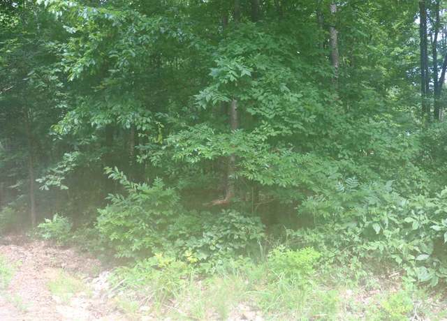 Property at YMCA S Muscatel & Ymca Ln, Counce, TN 38326
