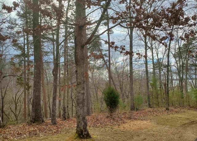 Property at LOT 223 Ridgeview Cv Lot 223, Savannah, TN 38372