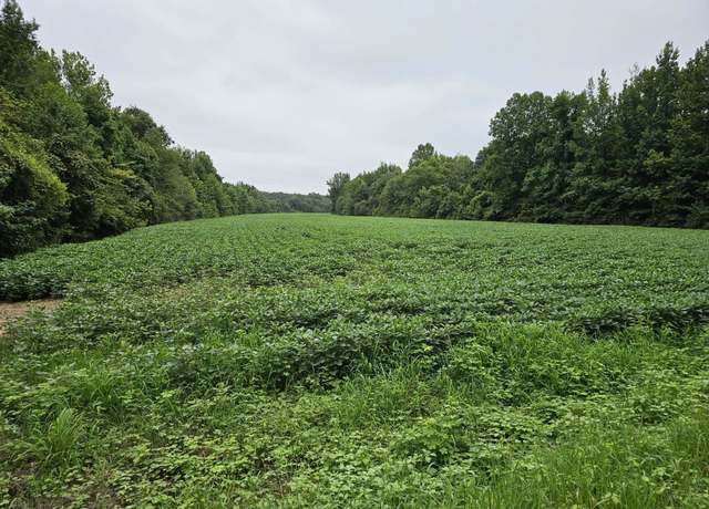 Property at Hwy 125 Hwy, Henderson, TN 38340