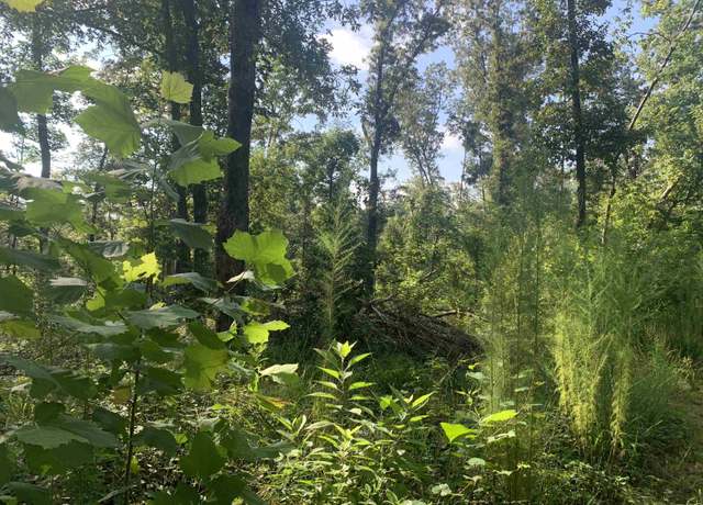 Property at 0 Goodman Ln, Michie, TN 38357
