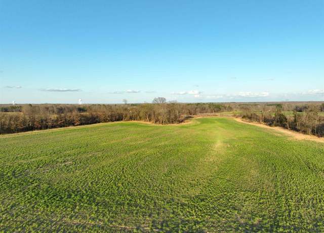 Property at 3615 Whiteville-newcastle Rd, Whiteville, TN 38075