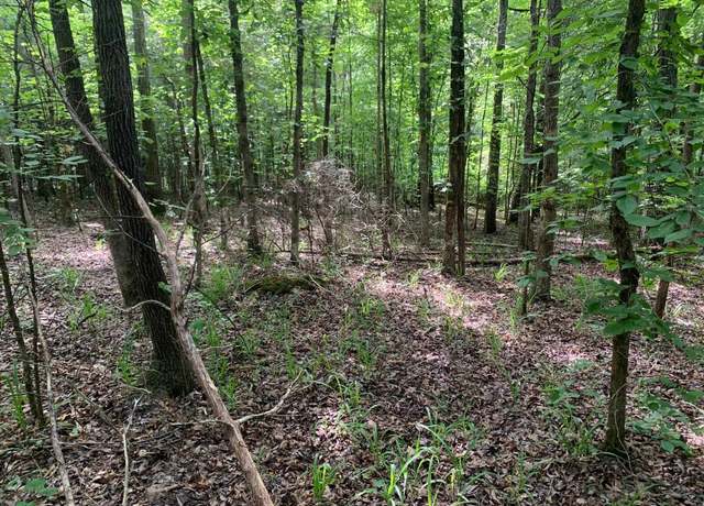 Property at CAVE HOLLOW Cave Hollow Ln, Savannah, TN 38372
