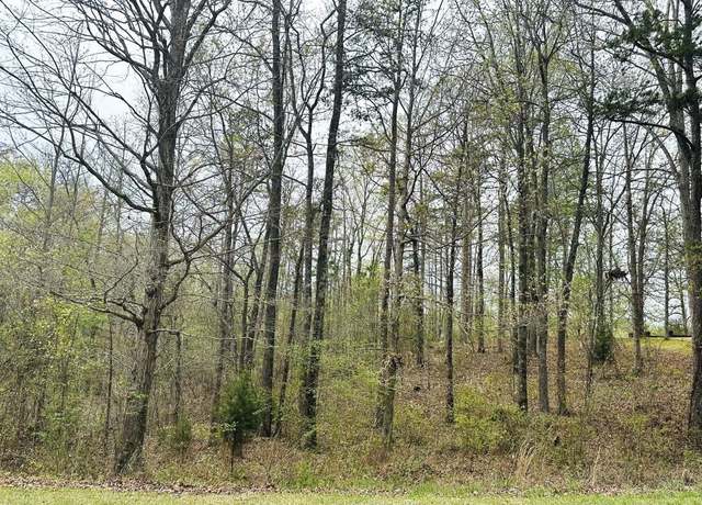 Property at 209 Blue Heron Pt, Counce, TN 38326-0209