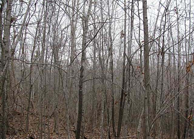 Property at 0 Mccullough Road Rd, Morris Chapel, TN 38361