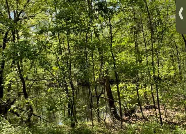 Property at 0 Doll Conway Rd Lot 5, Clifton, TN 38425