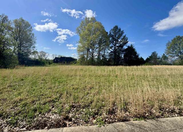 Property at 060 York Cmns St, Ripley, TN 38063