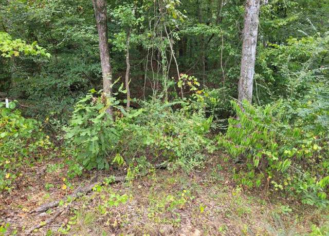 Property at 13 Hawthorne Ln, Savannah, TN 38372