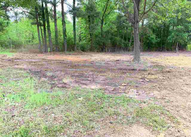 Property at 240 Lewis St, Savannah, TN 38372