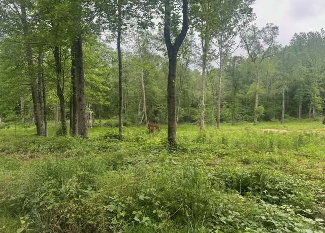 Property at 8125 Van Buren Rd, Saulsbury, TN 38067-8153