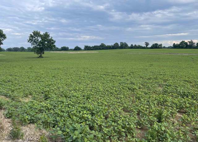 Property at 004 Oil Mill Rd, Covington, TN 38019
