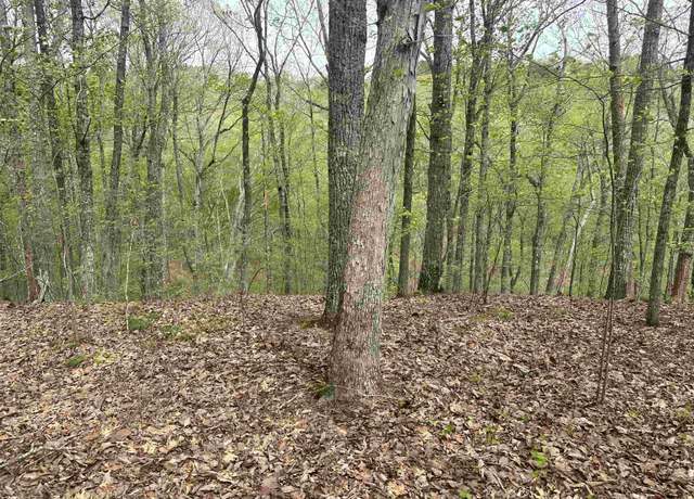Property at 00 Hollow Tree Rd, Savannah, TN 38372-0000