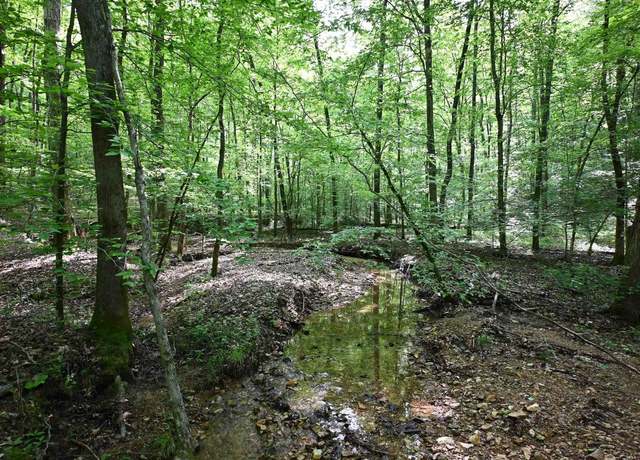 Property at 4 Lick Creek Rd, Linden, TN 37096