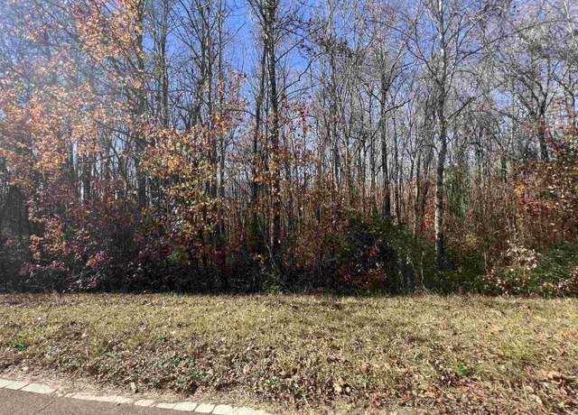 Property at 0 Hwy 22 Hwy, Mckenzie, TN 38201