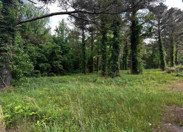 Property at 0 Highway 57 Hwy, Michie, TN 38357