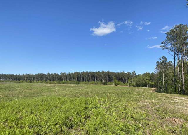 Property at 0 Otis Paine Rd, Bethel Springs, TN 38315