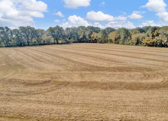 Property at 15870 70 Hwy, Stanton, TN 38069-5214