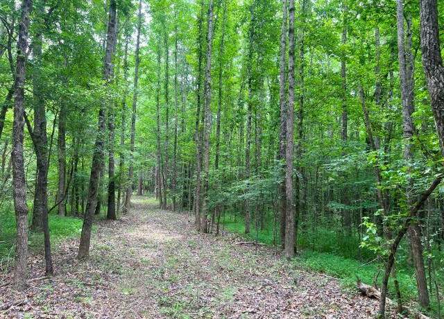 Property at Lagoshen Dr, Moscow, TN 38057