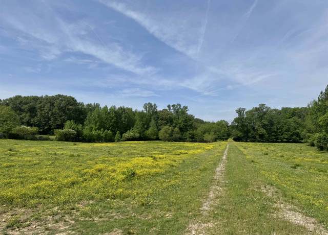 Property at 270 Country Club Rd, Somerville, TN 38068