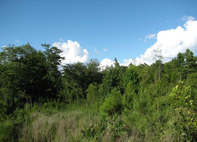 Property at 0 Sol Colston Rd, Finger, TN 38334