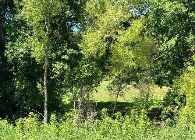 Property at 0 Highway 196 Hwy, Piperton, TN 38017