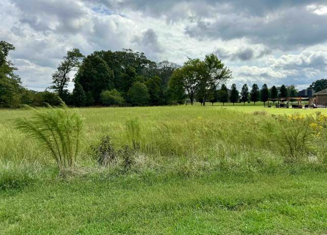 Property at 00 St Charles Cv, Adamsville, TN 38310