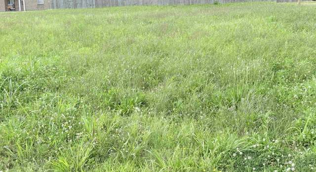 Photo of New Haven Cv, Mason, TN 38049