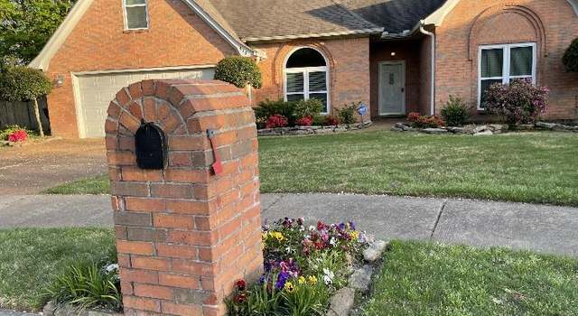 Photo of 910 Sugar Cv, Collierville, TN 38017